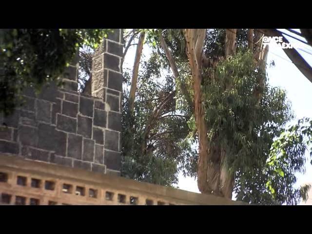 Descubre la Casa Museo de Luis Buñuel: Un destino imprescindible para los amantes del turismo cultural y el cine