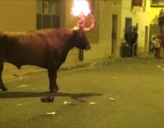 Descubre la mejor Fiesta en la Calle Nueva de Teruel: Una experiencia única en la ciudad