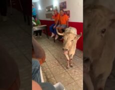 Descubre la mejor fiesta en la Calle San Juan Bosco en Teruel: ¡Un evento imperdible!