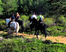 Descubre las mejores rutas a caballo en Teruel: turismo ecuestre en tu próximo viaje