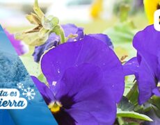 Descubre la belleza de Teruel: turismo en el Parque de Los Fueros